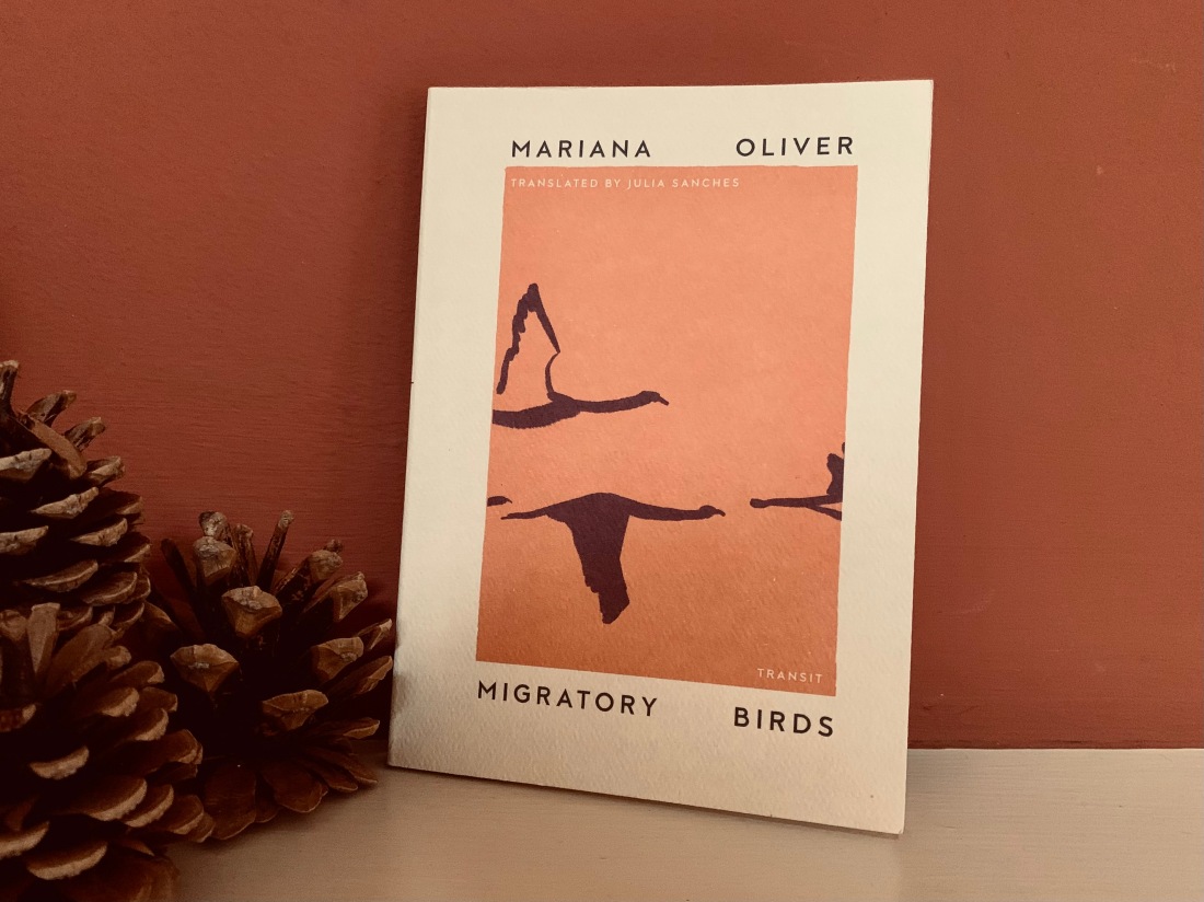 migratory birds book with cranes silhouettes against rusty orange background